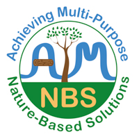 AiM NBS logo