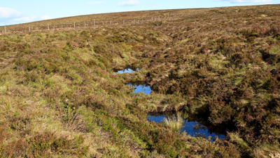 In-gully bunds with pools formed behind them