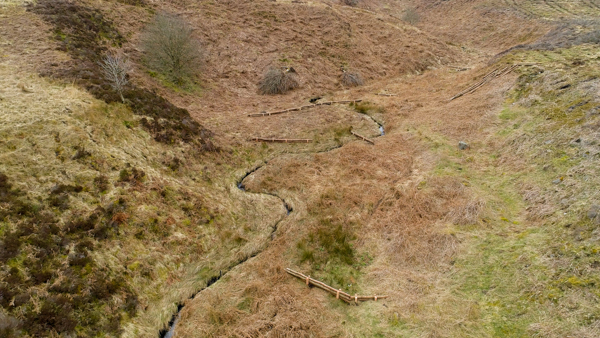 Aerial view of leaky barriers