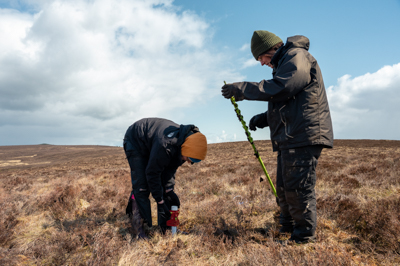 Researchers installing dipwells to monitor ground water levels