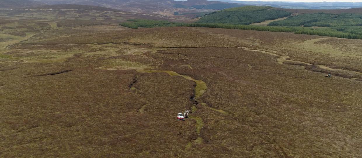 Excavator restoring peatland