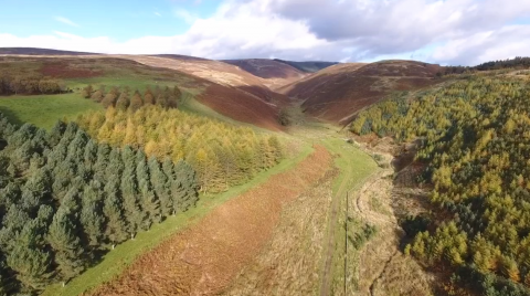 View over the west of Glensaugh