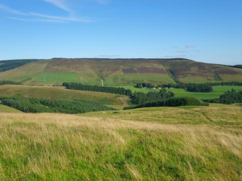 View to Finella Hill