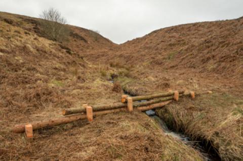 Leaky barrier across stream